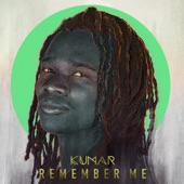 Remember Me artwork