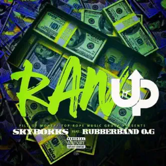 Ran It Up (feat. Rubberband Og) - Single by Skybokks album reviews, ratings, credits