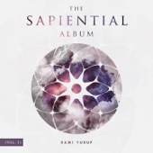 The Sapiential Album, Vol. 1 artwork