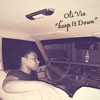 Keep It Down - Single
