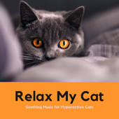 Relax My Cat – Relaxing, Soothing Music for Hyperactive Cats - Oasis of Cats