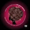 Never Give You Up (Remixes) [feat. Beverlei Brown] - Single album lyrics, reviews, download