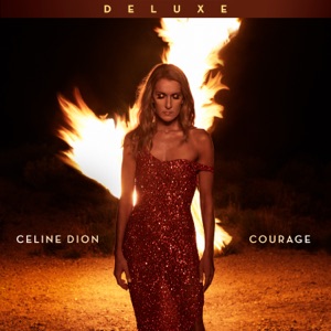Céline Dion - Imperfections - Line Dance Music