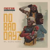 No Bad Dayz (Remix) [feat. DingDong] artwork