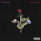 Visions - Fly New Music Group lyrics
