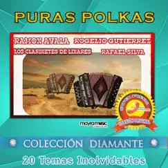 Polkas Y Algo Más (feat. Rogelio Gutierrez, Rafael Silva & Ramón Ayala) by Vários Artistas album reviews, ratings, credits