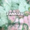 Zanku U (feat. Jazzy Rhodes & Din Beats) - Kitoko Sound lyrics