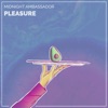 Pleasure - Single