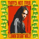 Skip Marley - That's Not True (feat. Damian "Jr. Gong" Marley)