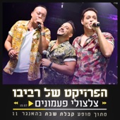 צלצולי פעמונים artwork