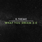 What You Dream 2.0 artwork