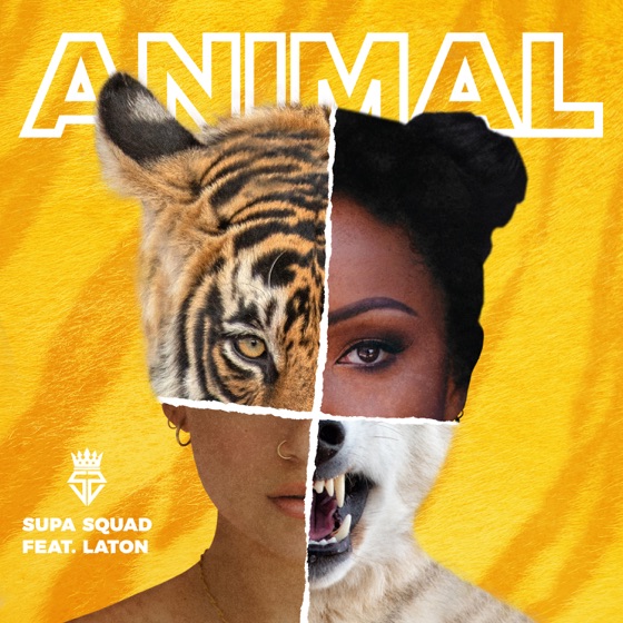 Cover artwork for Animal (feat. Laton)