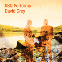 Vitamin String Quartet - VSQ Performs David Gray artwork