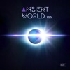 Ambient World 12.0, 2019