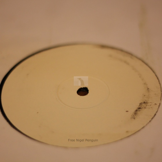 Cover artwork for Free Nigel Penguin