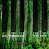 Brian Streicher - Gnossienne No.1: Lent