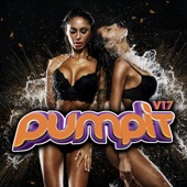 Pump It, Vol. 17 Megamix (Mixed by Christian Bartasek) [Mixed] artwork