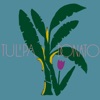 Tulipa Ruiz e João Donato - Single