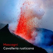 Cavalleria rusticana, Scene 8: Il ver. Turiddu mi tolse l'onore (Live) artwork