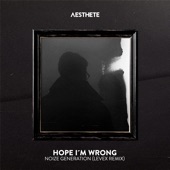 Hope I'm Wrong (Levex Remix) artwork