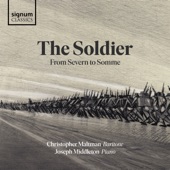 The Soldier: From Severn to Somme artwork