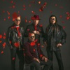 The Mavericks