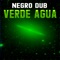 Verde Agua artwork