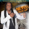 Never Give Up - EP