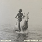 Joan Shelley - Coming Down For You