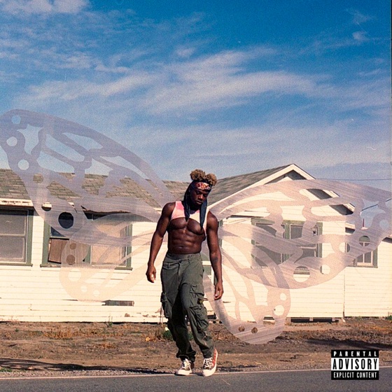 Cover artwork for Lingo Starr: STRIKES BACK