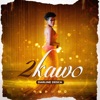 2KAWO - Single