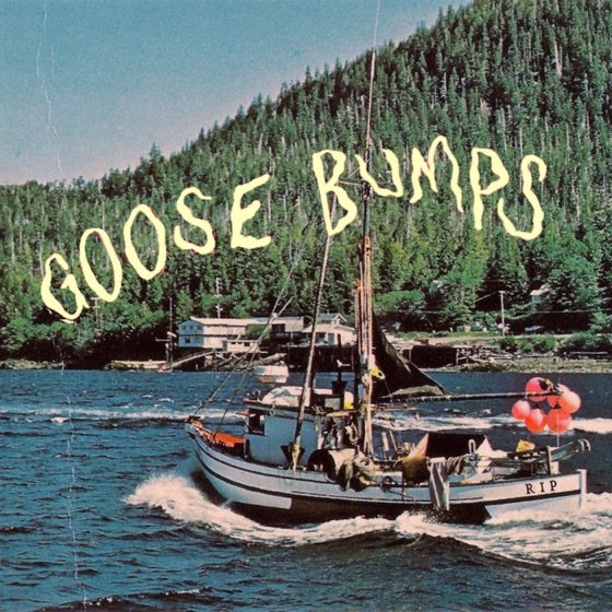 Cover artwork for Nova Scotia 500