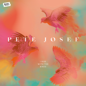 Snatching Time - Pete Josef