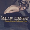 Mellow Downbeat (Delicate Electronic Chill Lounge Tunes)