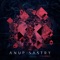 This World (feat. Chaney Crabb) - Anup Sastry lyrics