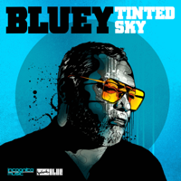 Bluey - Tinted Sky artwork