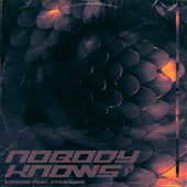 Nobody Knows (feat. Ethan Uno) artwork