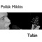 Talán - Pollák Miklós lyrics