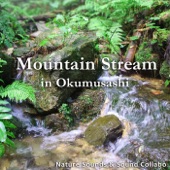 Mountain Stream in Okumusashi artwork