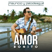 Amor Bonito artwork