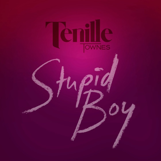 Cover artwork for Stupid Boy