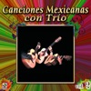 Colección De Oro: Canciones Mexicanas Con Trío, Vol. 2, 2010
