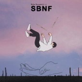 SBNF artwork