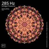 285 Hz Rejuvenated Energy Fields - EP artwork