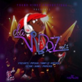 Yvp Presents: Da Vibez, Vol. 1 artwork