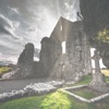 Turning To Stone