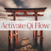 Powerful Drums - Qi Gong Academy