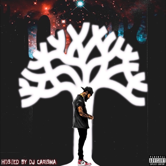 Cover artwork for What You Like (feat. Nana Fofie)