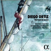 Ortiz: Trattado de Glosas artwork