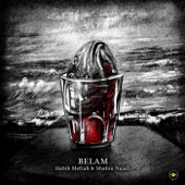 Belam (feat. Shahin Najafi) artwork